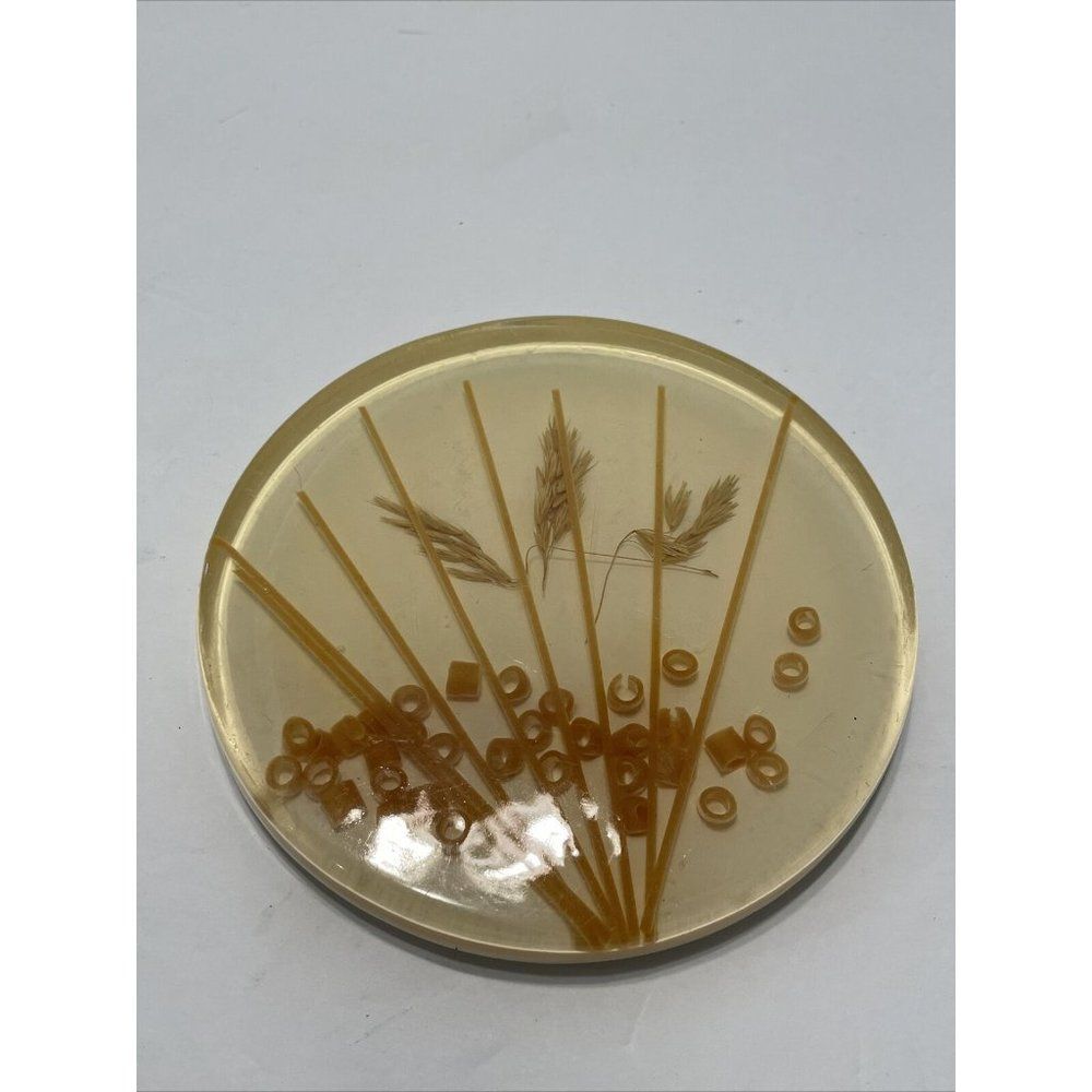 VTG 5” Acrylic Lucite Resin Trivet Wheat Macaroni MCM hot Plate